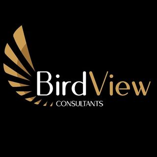 Birdview Consultancy Services-logo