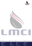 Loss Management Consultancy International Zambia Limited (LMCI)-logo